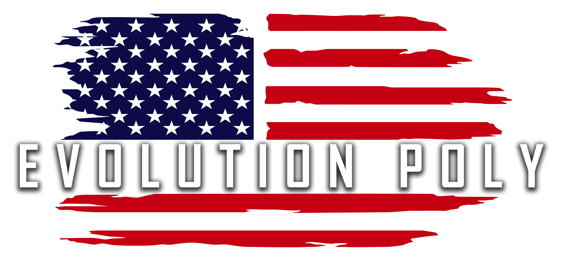Client Evolution Poly Logo